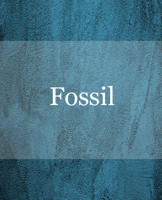 fossil