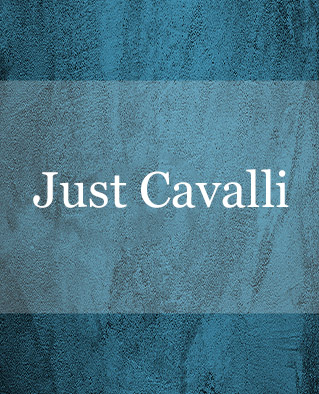 justcavilli